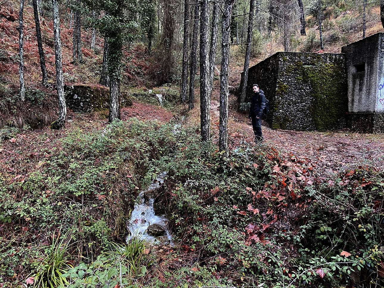 Arroyos que aparecen por el camino