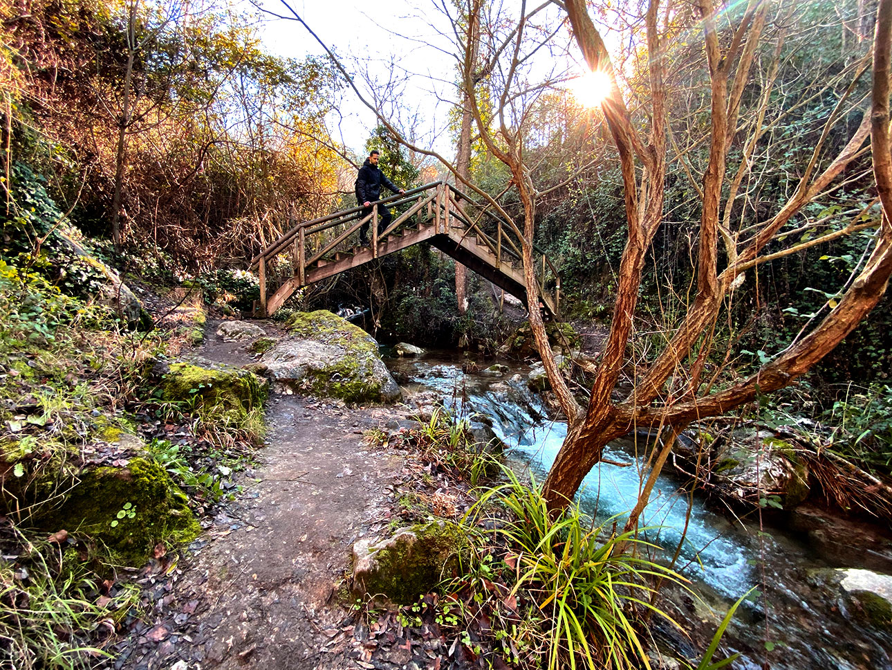 Puente de madera sobre el Río Cerezuelo