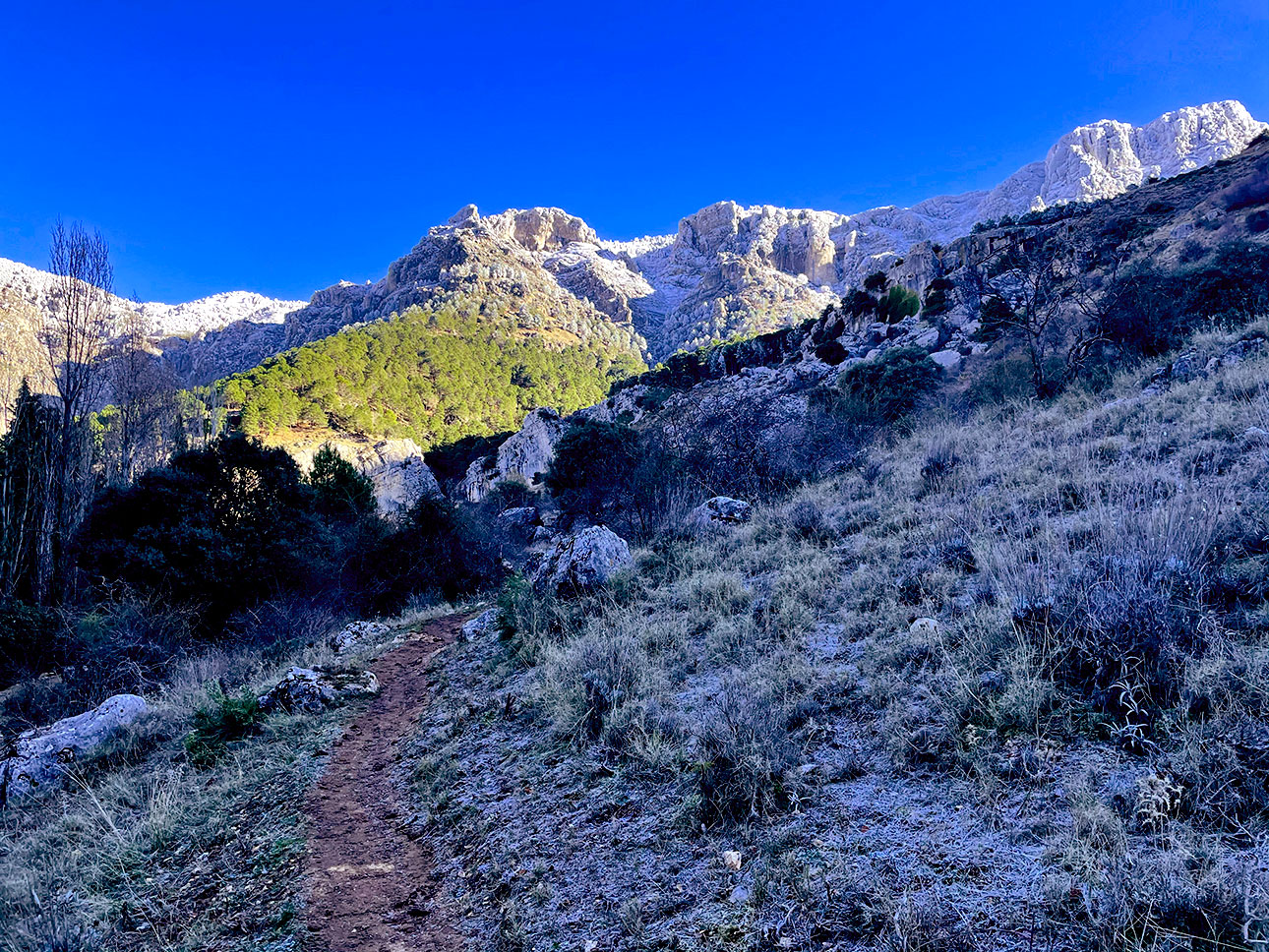 Manto de nieve que cubría las cumbres del parque