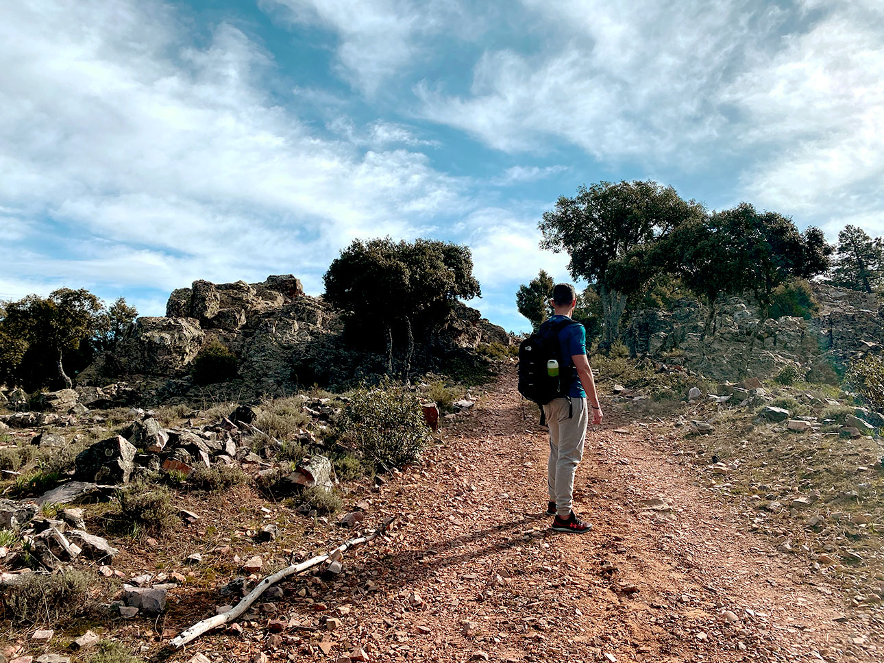 Camino a través de la pista forestal