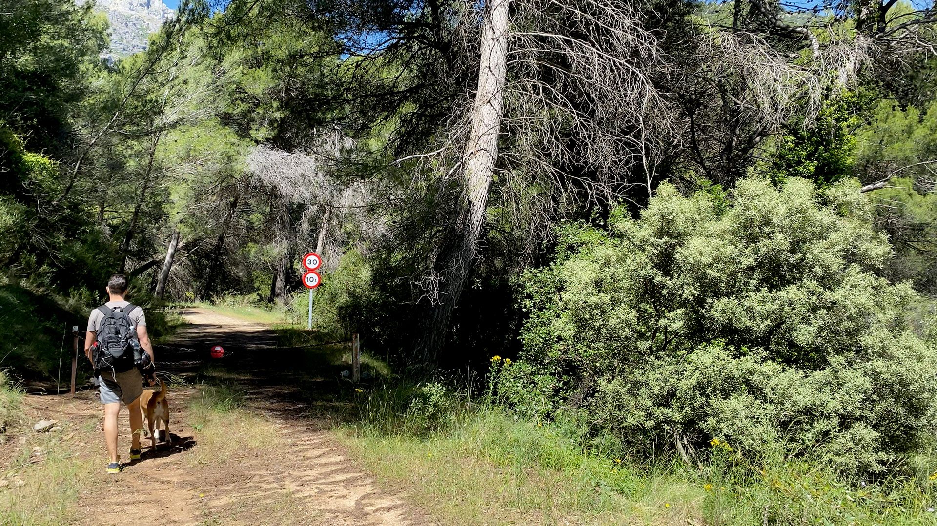 Camino delimitado por cadena