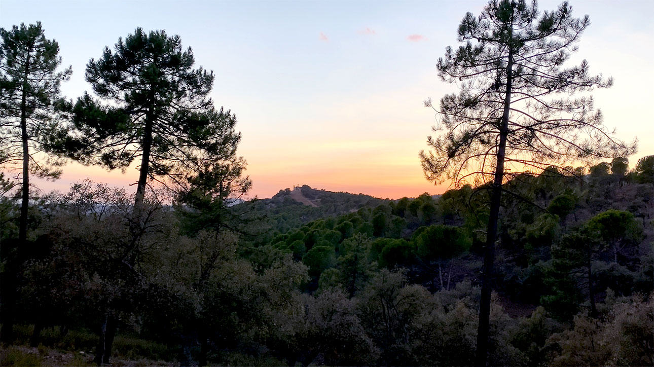 Vistas de Castro Ferral al atarceder