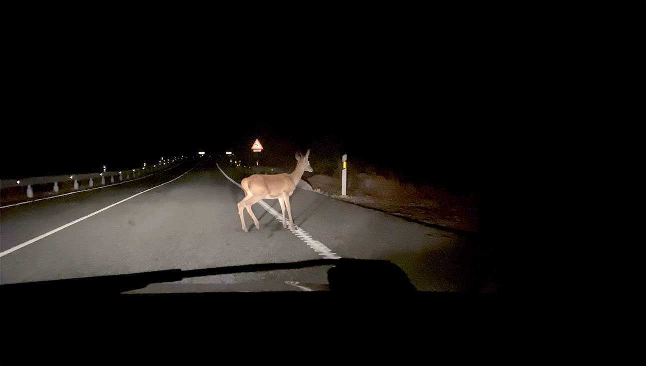 Visita inesperada en la vuelta