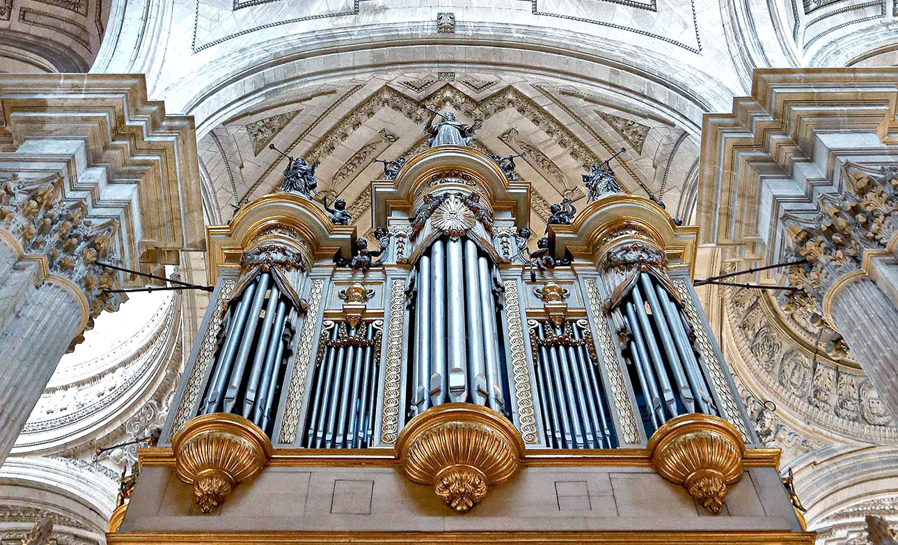 Órgano de la Catedral